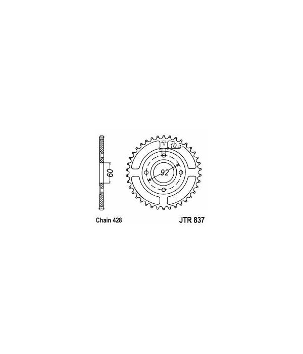 Corona de acero 39 dientes