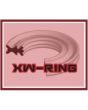 Cadena RK 532 GSV con XW ring